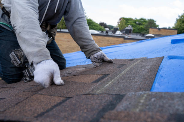 Best Roof Coating and Sealing  in Lynchburg, TN