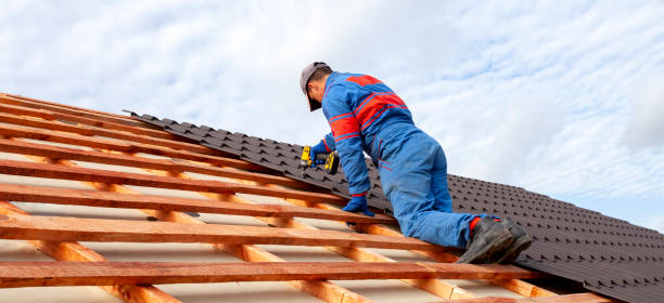 Best Asphalt Shingle Roofing  in Lynchburg, TN